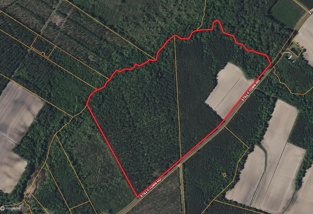 77-Acre Farm & Timberland with Hunting Near Aurora, NC